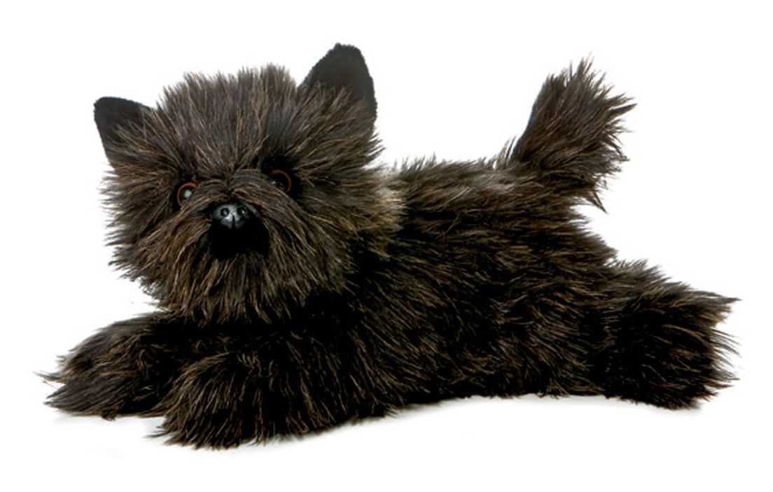 toto plush toy